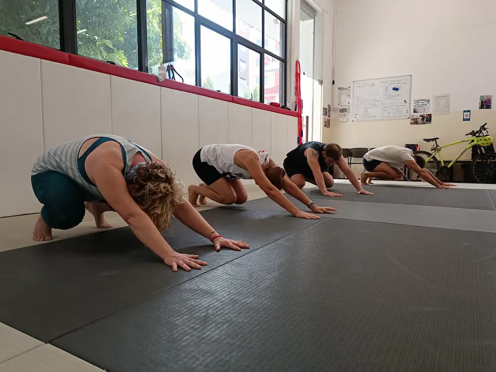 Participants practicing Animal Flow movements for improved flexibility and coordination