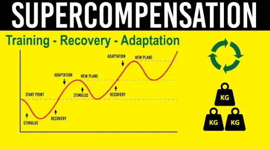 Results come from training PLUS adaptation
